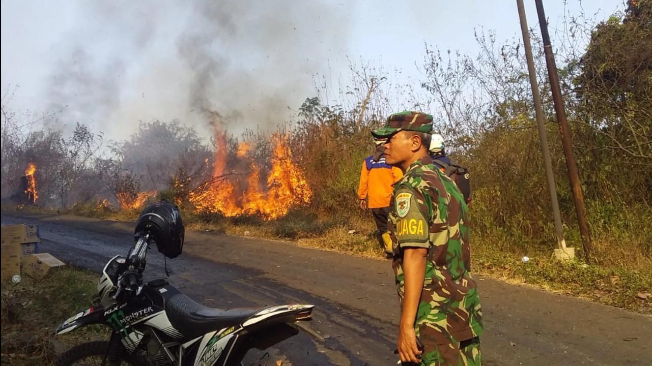 5 Hektare Lahan di Cigendel Sumedang Terbakar, Penyebab Masih Misterius