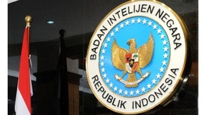 Ilustrasi-Badan-Intelijen-Nasional-BIN.jpg