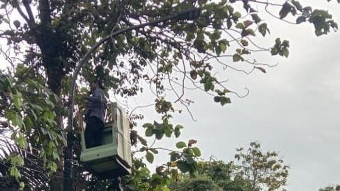 Komponen PJU di Pangandaran Marak Dicuri, Dishub Melapor ke Polisi