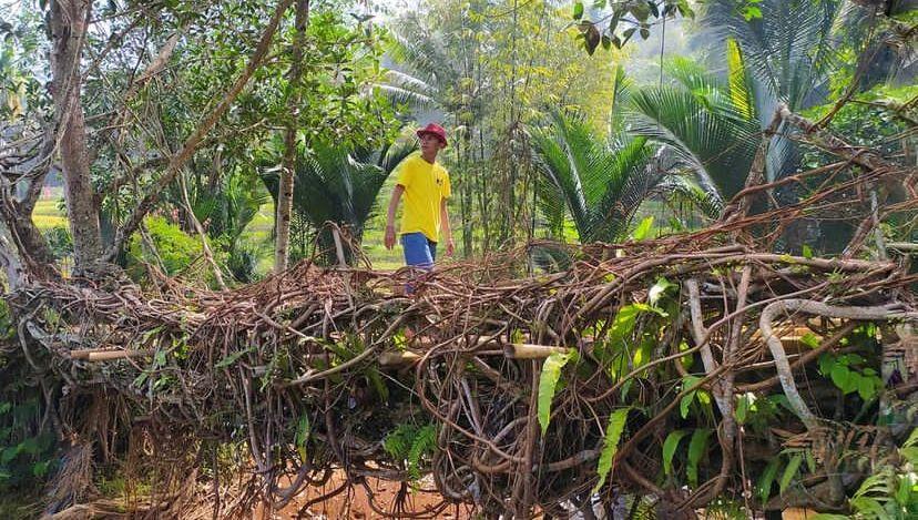 Menelusuri Jembatan Akar Santoaan di Tasikmalaya yang Unik dan Eksotis