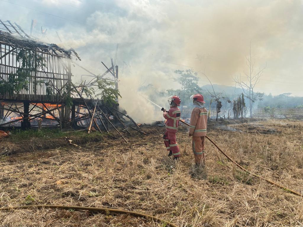 Kandang-Ayam-Terbakar.jpg