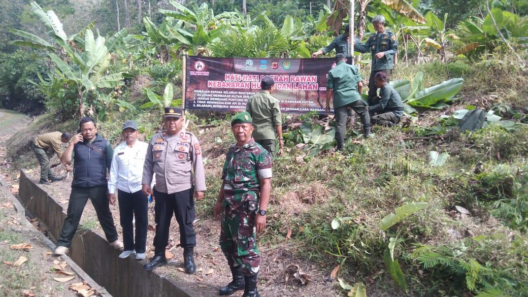 Gara-gara Puntung Rokok, Area Perkebunan Milik Warga di Pangandaran Terbakar