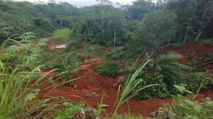 Longsor-Timpa-Satu-Hektar-Lahan-Pesawahan-Petani-Gagal-Panen-di-Ciamis-1.jpg