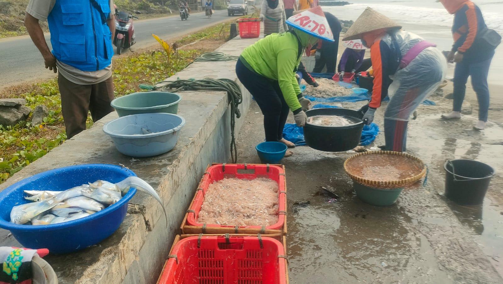 Kemarau Panjang Bawa Berkah Bagi Nelayan di Pangandaran, Panen Tangkapan Laut Bernilai Ekonomis