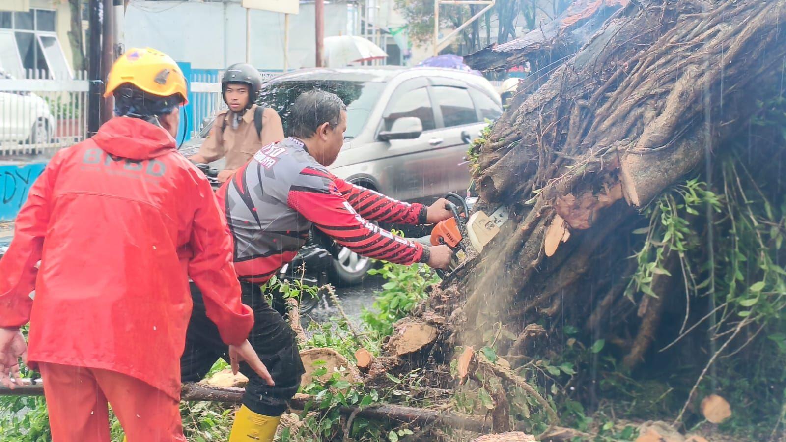 Pohon Besar Tumbang Timpa Pagar dan Motor di Tawang Tasikmalaya, Tak Ada Korban