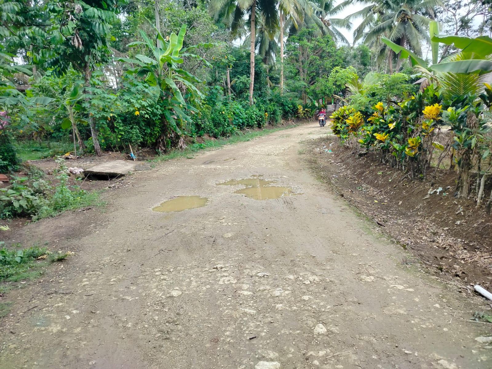 Jalanan di Desa Cimerak Pangandaran Rusak-Minim PJU, Perbaikan dari Pemerintah Disebut Hanya Rencana