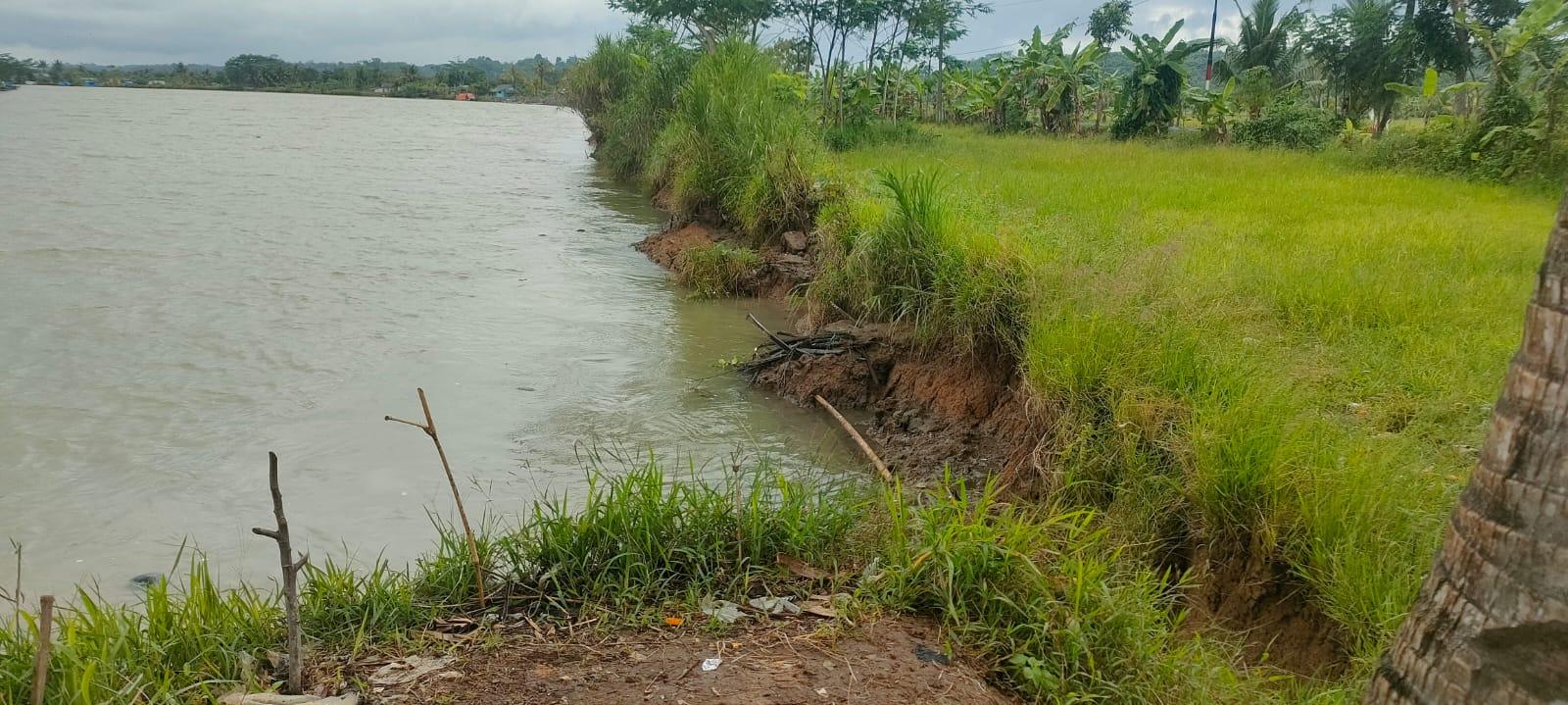 Tanggul Sungai Citanduy di Pangandaran Jebol, BBWS Citanduy Beberkan Alasannya Begini