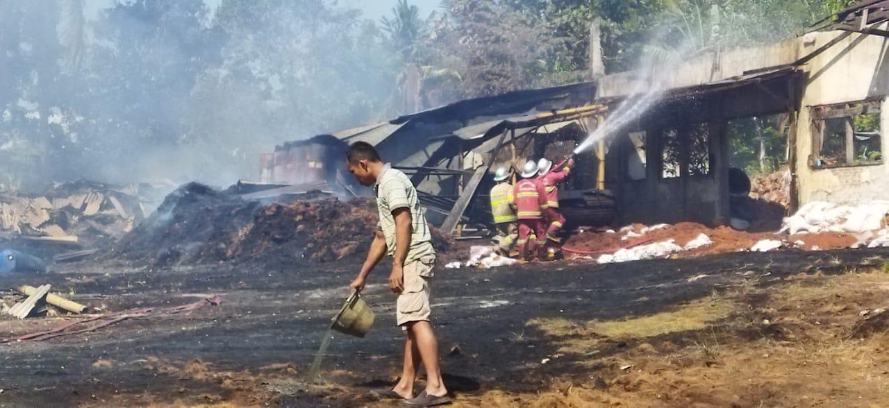 KRONOLOGI Kebakaran Hebat Lahan Pabrik Cocopeat di Pangandaran, Pemilik Rugi Rp 1 Miliar