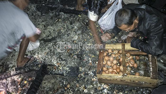 Warga Berburu Telur usai Api yang Lahap Pasar Cikurubuk Tasikmalaya Padam