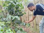 Adam-Petani-Kopi-Garut.jpg