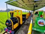 Dangdeur-van-Java-wisata-kereta-mini-di-Desa-Kiangroke-Banjaran-Kabupaten-Bandung-1.jpg