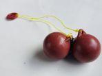 Lato-lato.jpg