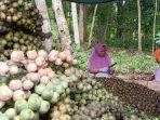 Memasuki-Bulan-Ramadan-Petani-Ko.jpg