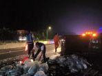 Mobil-pikap-bermuatan-ikan-mas-terguling-di-Tol-Cipularang-1.jpg