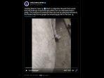 Salah-satu-akun-Twitter-mengunggah-video-ketika-perut-sapi-yang-kembung-mengeluarkan-api.jpg