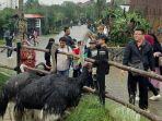 Suasana-wisata-di-Lembang-Park-Zoo.jpg
