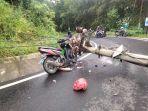 Tiang-Listrik-Timpa-Motor.jpg