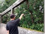 Yana-menunjukkan-lokasi-roof-top-pengedar-sabu-kabur-23102025-1.jpg