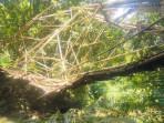 jembatan-bambu-rusak-di-pangandaran-1.jpg