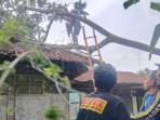 pohon-tumbang-ciamis-02102025-1.jpg