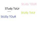 studytourstudy.jpg