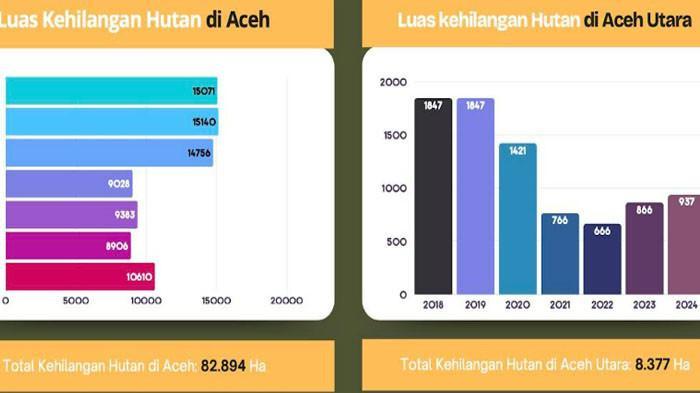Data kerusakan Hutan Aceh sejak tahun 2018 sampai 2024 yang dipaparkan Koordinator MaTA, Alfian