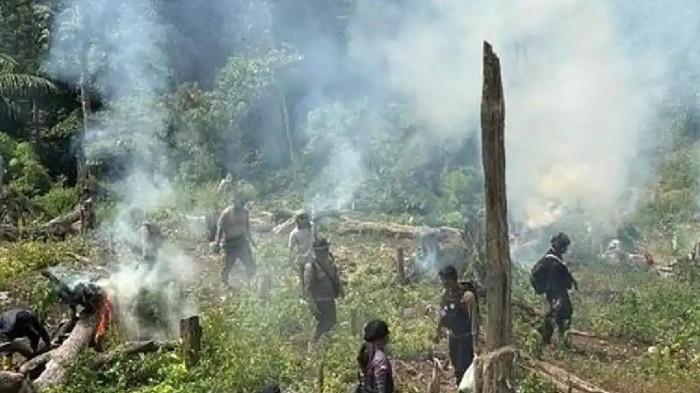 Bareskrim Ungkap Peredaran Ganja di Aceh, Modus Hanyutkan Barang Lewat Sungai