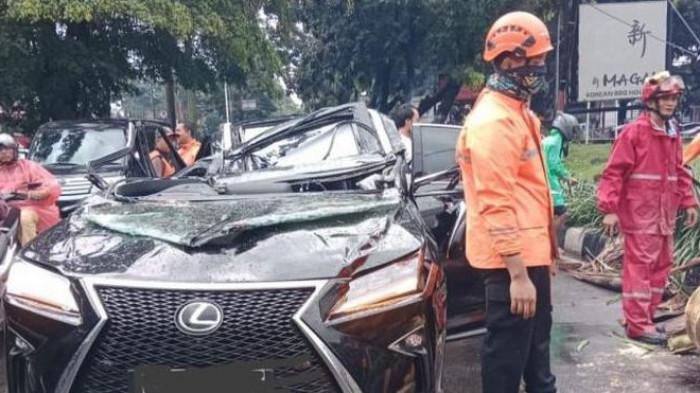 Pohon Tumbang Timpa Mobil Lexus di Pondok Indah Jakarta Selatan, Pengemudi Meninggal
