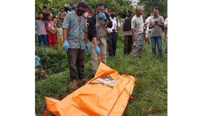Mayat Warga Aceh Tenggara Membusuk di Kebun Jagung