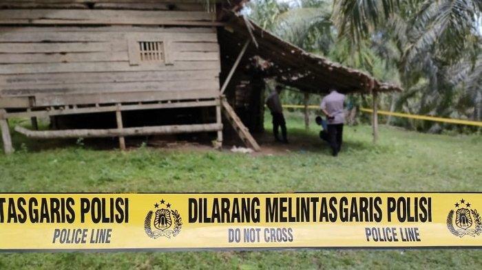 Diduga Karena Bunuh Diri, Mayat Pria Ditemukan Dalam Sebuah Pondok Kebun Sawit di Aceh Utara