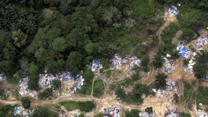 Malaysia Temukan Permukiman Ilegal WNI di Hutan, 67 Orang Ditahan