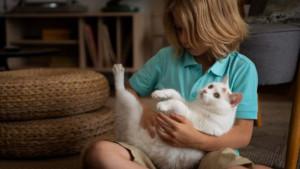 Ilustrasi-kucing-dan-pemiliknya-1.jpg