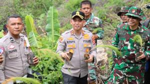 Kapolres-Aceh-Tengah-Tanam-Pohon-Pinus.jpg