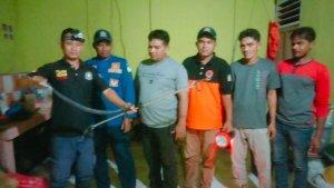 Perlihatkan-Ular-Kobra.jpg