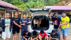 Personel-Satreskrim-Polres-Aceh-Barat-Daya-memperlihatkan-para-pelaku-pencurian-hewan-ternak.jpg