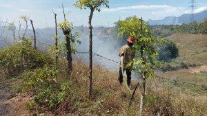 Petugas-BPBD-Aceh-Besar-melakukan-upaya-pemadaman-terhadap-lahan-yang-terbakar-di-Indrapuri.jpg