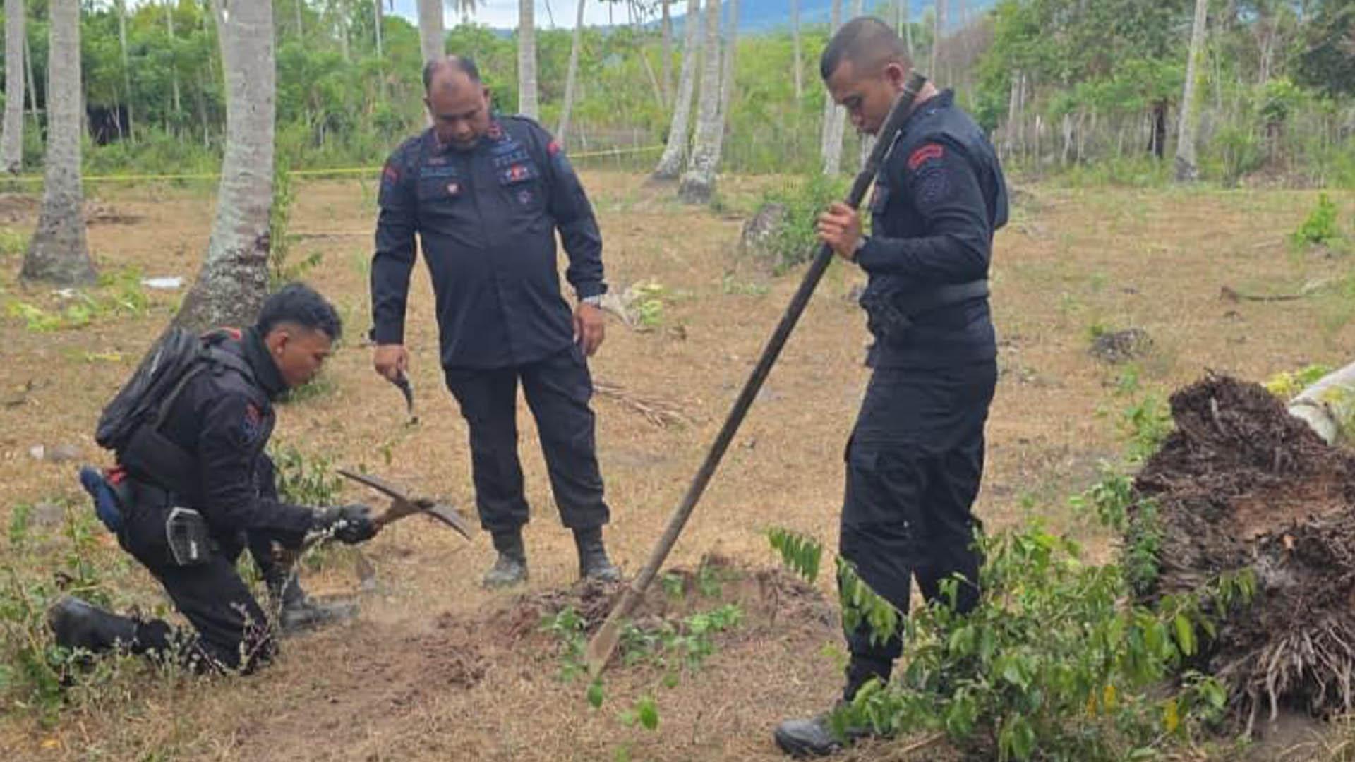 Bom Peninggalan Belanda Meledak di Aceh Besar, Gegana Turun Tangan -  Prohaba.co