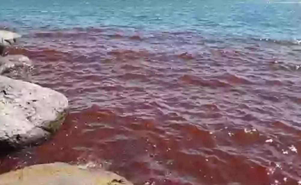 Danau-di-Israel-berubah-merah.jpg