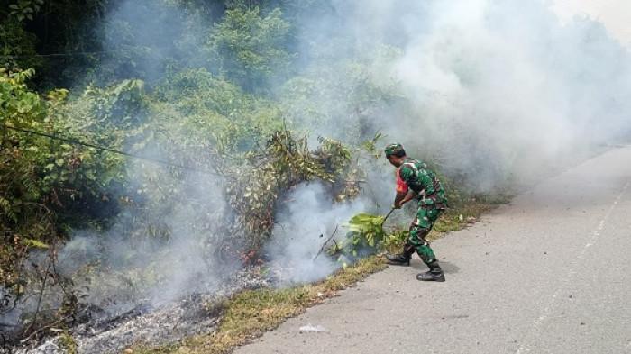 Pegunungan Malem Aceh Jaya Terbakar, Dua Unit Damkar Dikerahkan