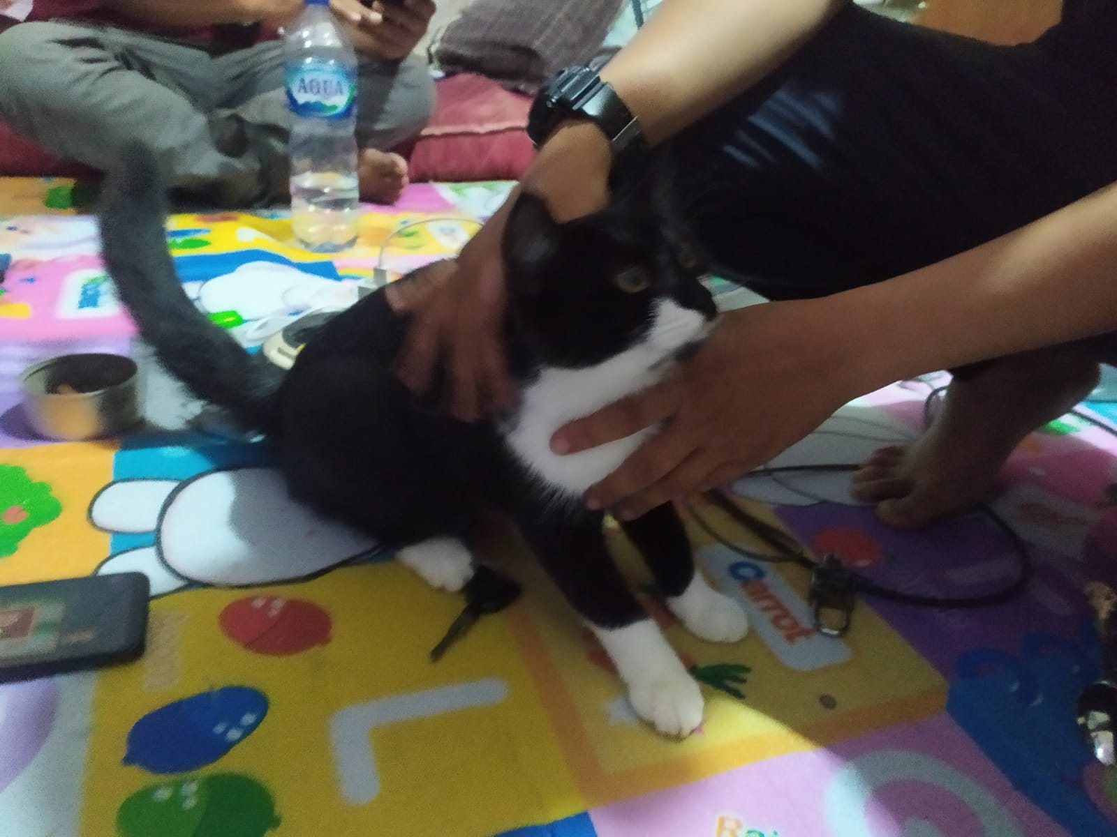 Curi Laptop dan Kucing Tetangga, Seorang Pemuda Diciduk Polisi