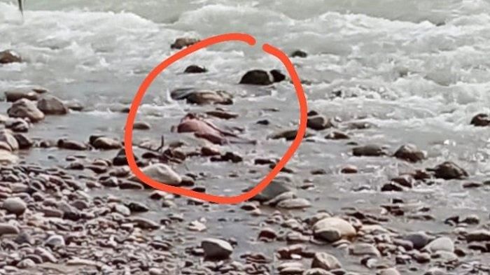 Sesosok Mayat Ditemukan di Sungai dengan Kondisi Tangan dan Kaki Terikat, Ternyata Warga
