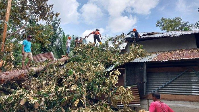 Tim-BPBD-membersihkan-pohon-tumbang-ke-rumah-warga-akibat-angin-kencang.jpg