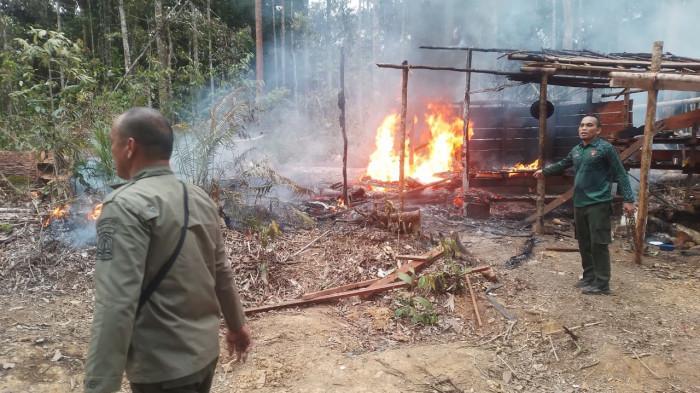 Tim-gabungan-dari-KPH-membakar-gubuk-pelaku-perambah-hutan-di-Beutong-Ateuh.jpg