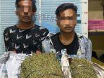 Dua-dari-tiga-pelaku-pengedar-bakong-ijo-ganja-memperlihatkan-BB-di-Mapolres-Pijay.jpg