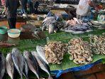 Harga Ikan hingga Udang di Pasar Lambaro Aceh Besar Merangkak Naik, Faktor Ini Jadi Penyebabnya 
