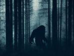 Ilustrasi-Bigfoot-Ilmuwan-membuktikan-bahwa-makhluk-yang-menjadi-mitos-dan-legenda-di-Amerika.jpg