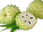 Ilustrasi-buah-sirsak.jpg