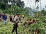 Jajaran-Polres-Bireuen-memusnahkan-ribuan-batang-ganja-dengan-cara-membakar.jpg