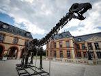 Kerangka-Dinosauris-Laku-Rp-100-Miliar.jpg