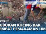 Kuburan-Kucing-Bak-Pemakamam-Umum.jpg